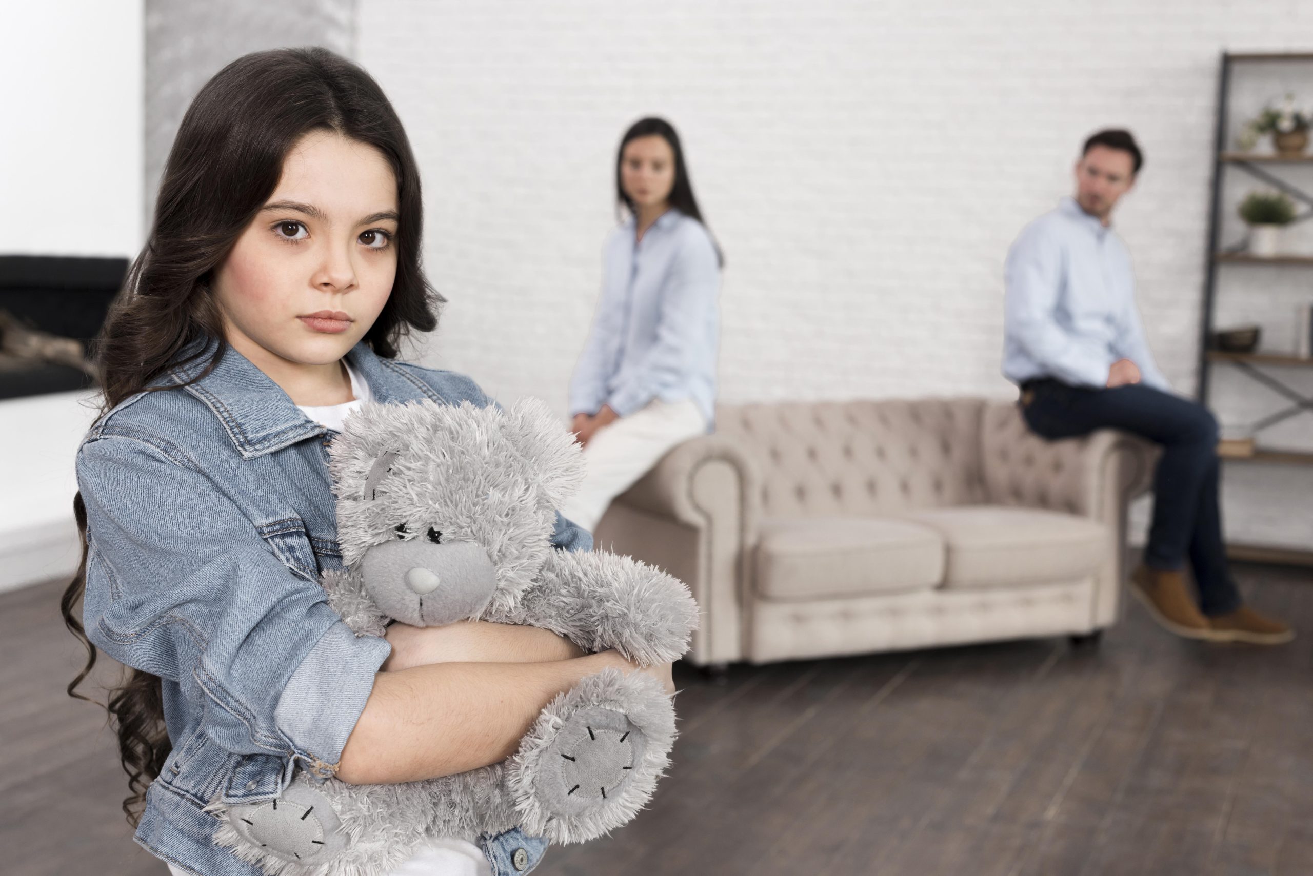 Child Custody Lawyer